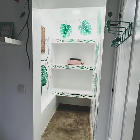 Kauri Nomad Surf & Kite House *